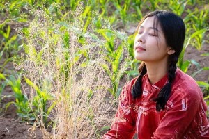 离婚后山区支教遇真爱：单亲妈妈的秘密与重生