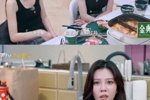 宋妍霏《浪姐6》重提自热锅事件引争议